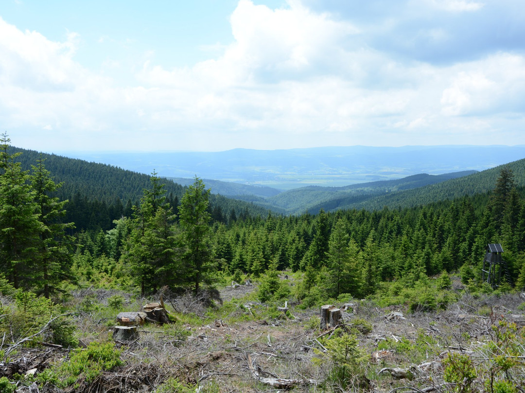 Snieznicki Landscape Park景点图片