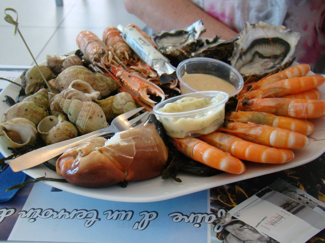 Les Viviers de l'Océan