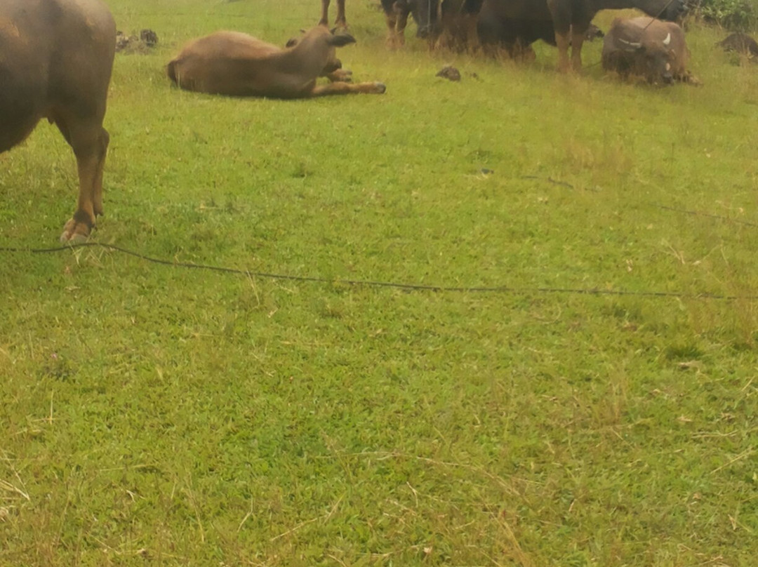 Balacay Point-Catanduanes必去景点