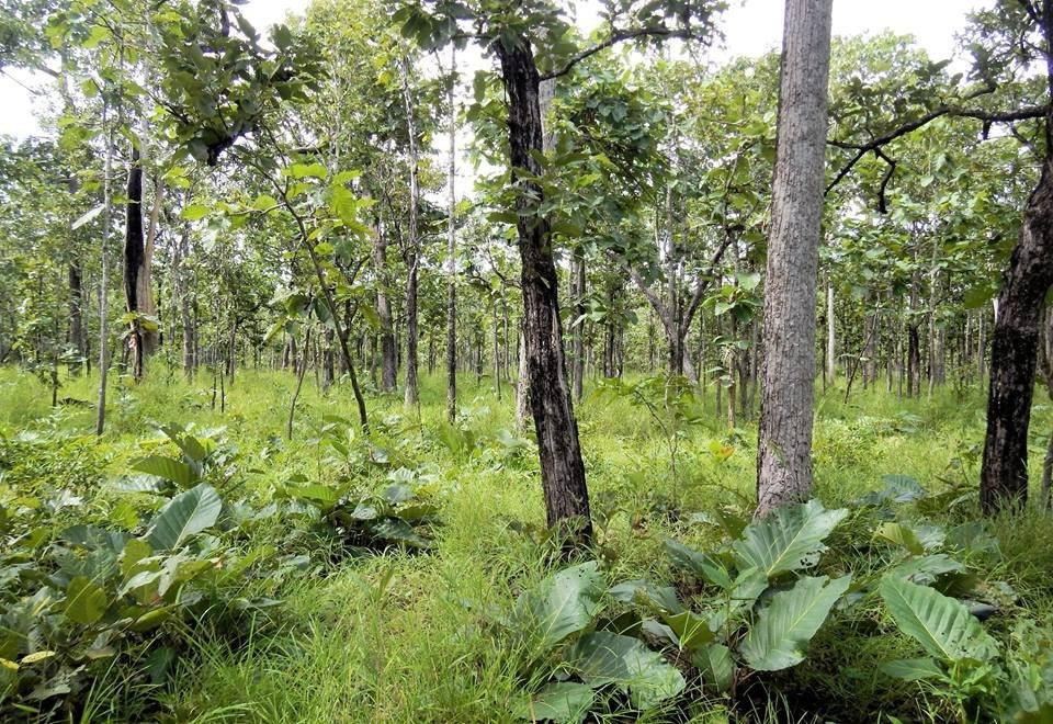Yokdon National Park-Cu Jut District必去景点