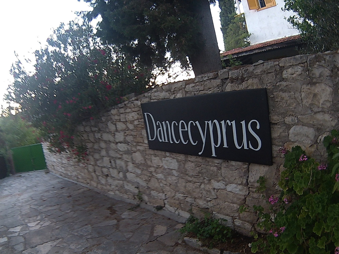 Michael Owen Art Gallery-拉尼亚必去景点