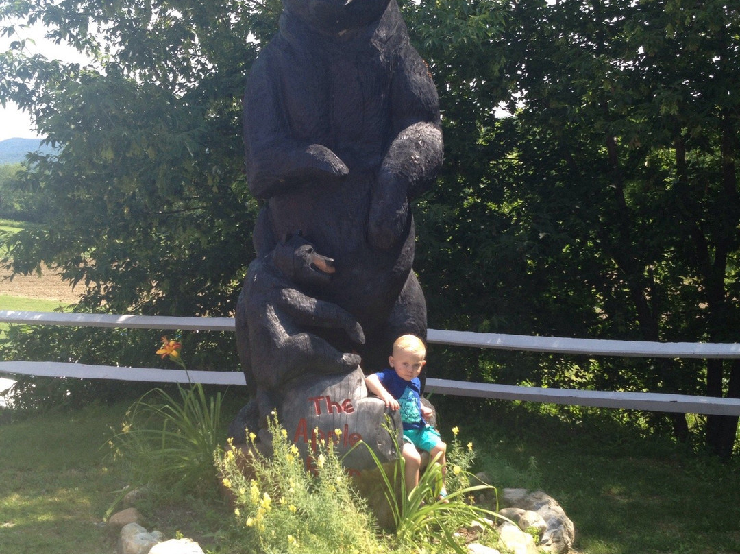 The Apple Barn and Country Bake Shop-本宁顿必去景点