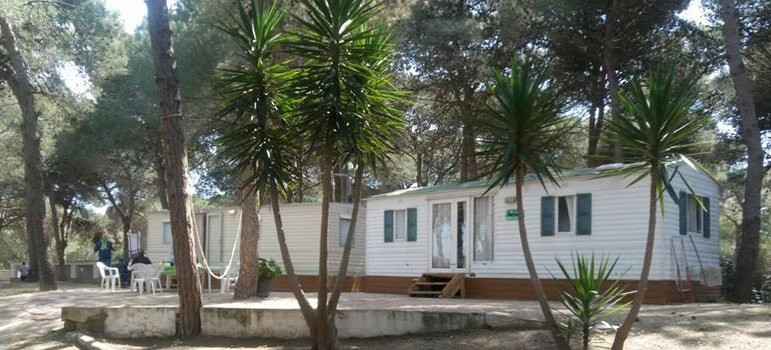 Camping Verde Mare