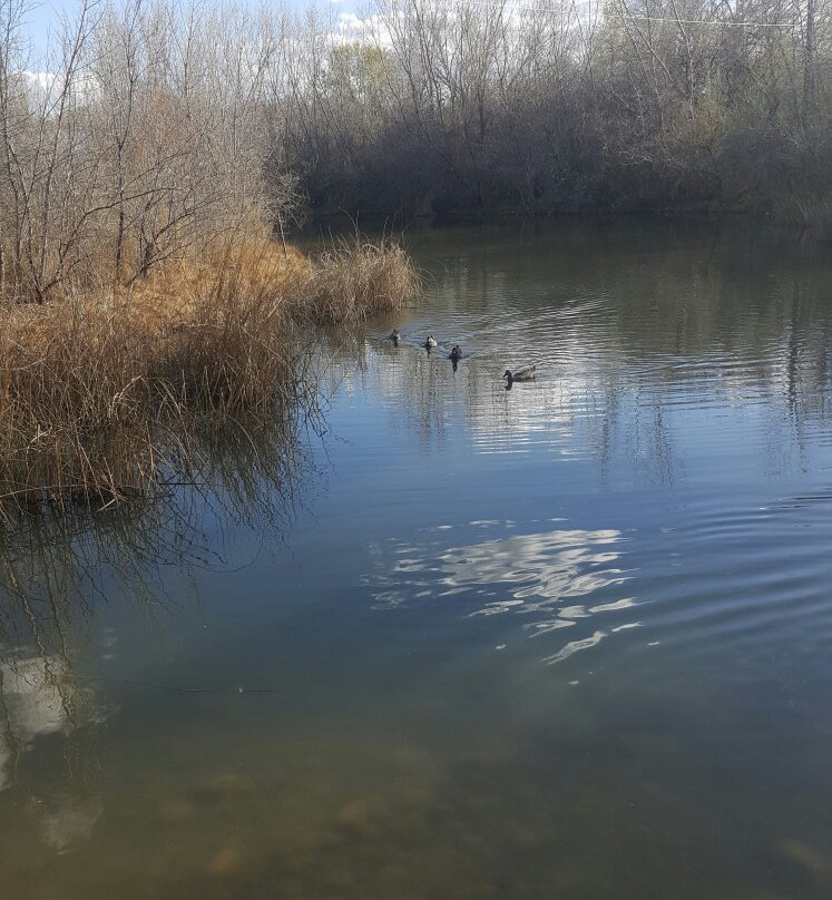 Berg/Animas Trail-法明顿必去景点