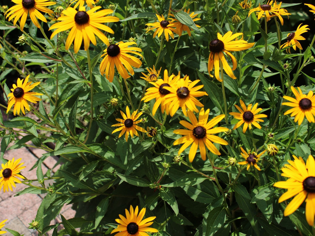 Gimghoul Castle-教堂山必去景点