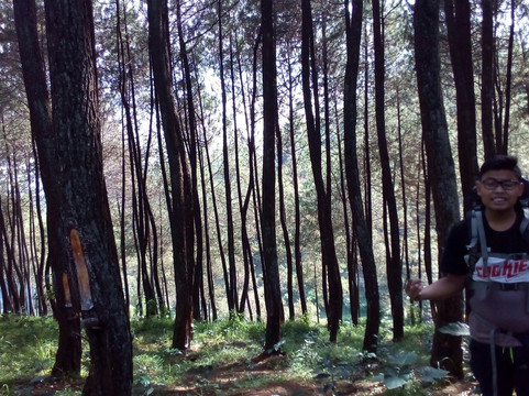 Cibolang Hot Spring-万隆必去景点