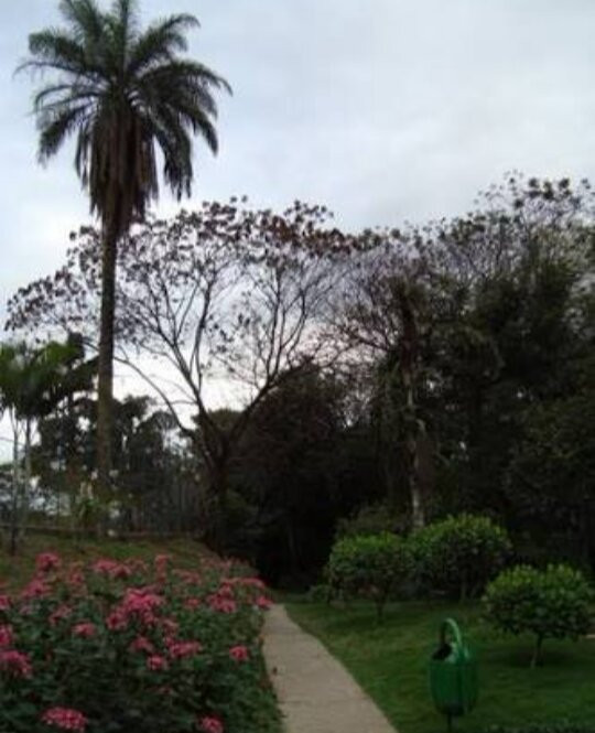 Parque Ecológico do Bairro Caiçara-贝洛哈里桑塔必去景点