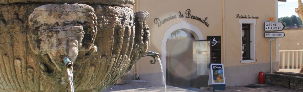Caveau Xavier Vins - Domaine de Beaumalric景点图片