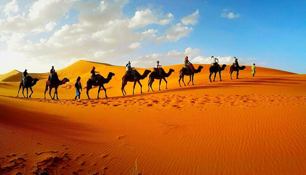 马拉喀什一日游-马拉喀什必去景点