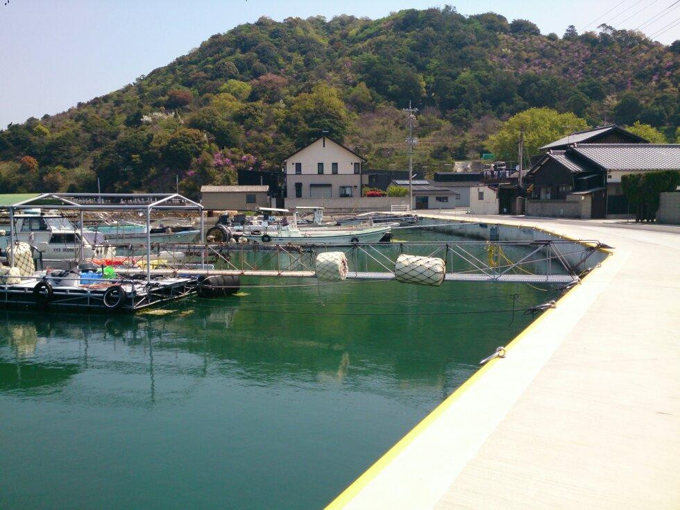 海边之宿 波平主图