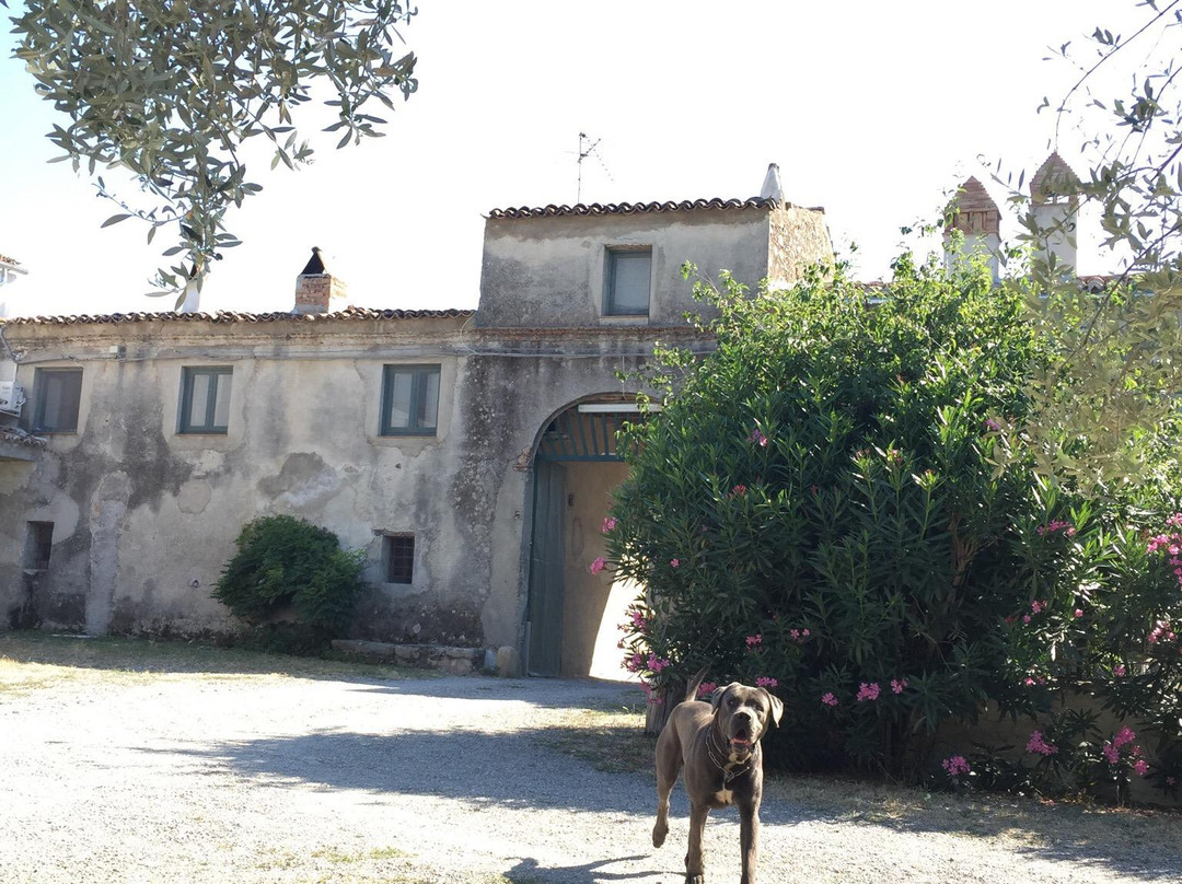Agriturismo Le Macchie