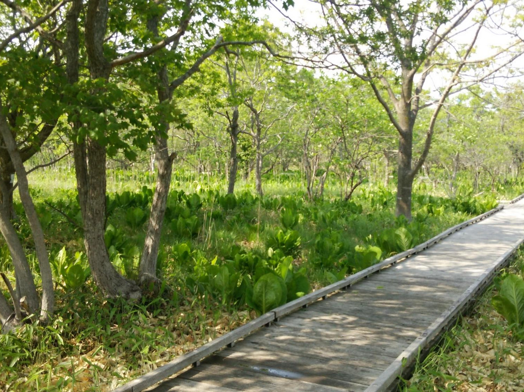 Kiushito Wetland-登别市必去景点