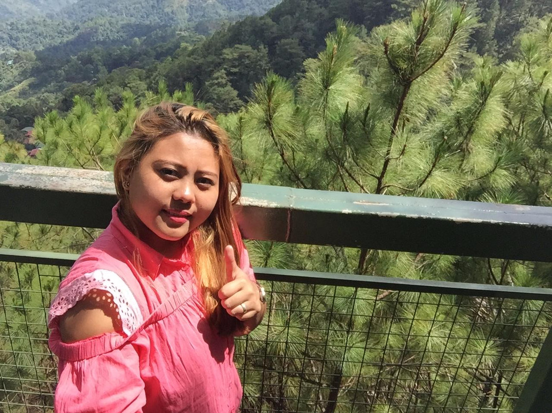 Tree Top Adventure-碧瑶必去景点