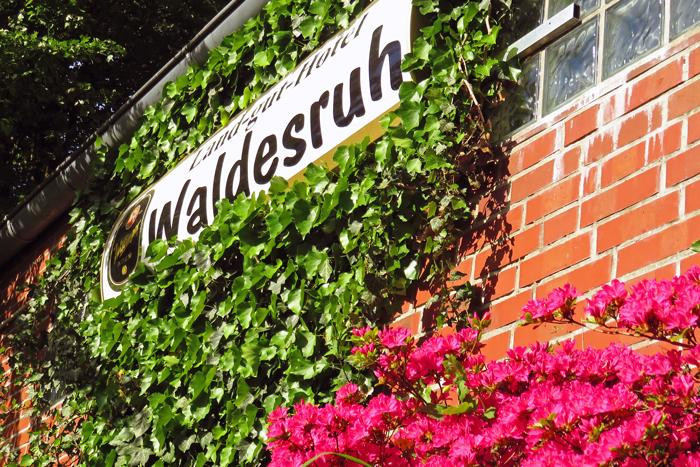 Land-gut-Hotel Waldesruh主图