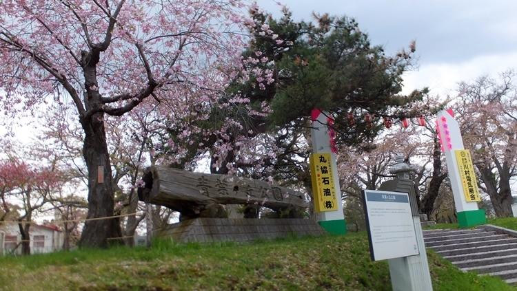 Aobagaoka Park-森町必去景点