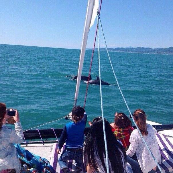 Sochi Yachting