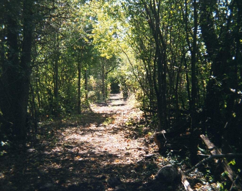 Gamiing Nature Centre景点图片