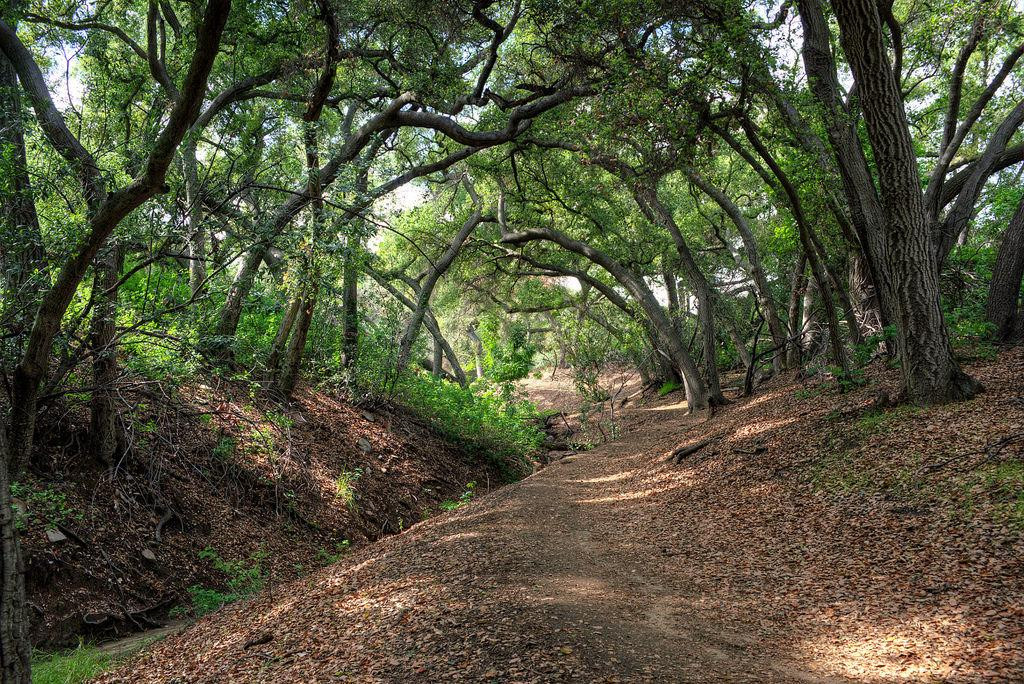 Cherry Canyon Park-拉肯纳达石岭必去景点