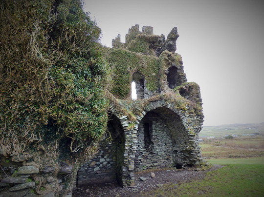 Walsh Taxi-基拉尼必去景点