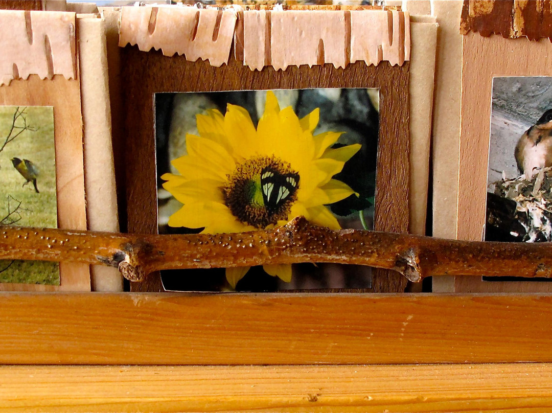 Virginia Ann Hemingson Art Gallery-坎莫尔必去景点