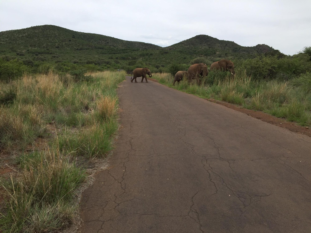 Felleng旅游服务-约翰内斯堡必去景点