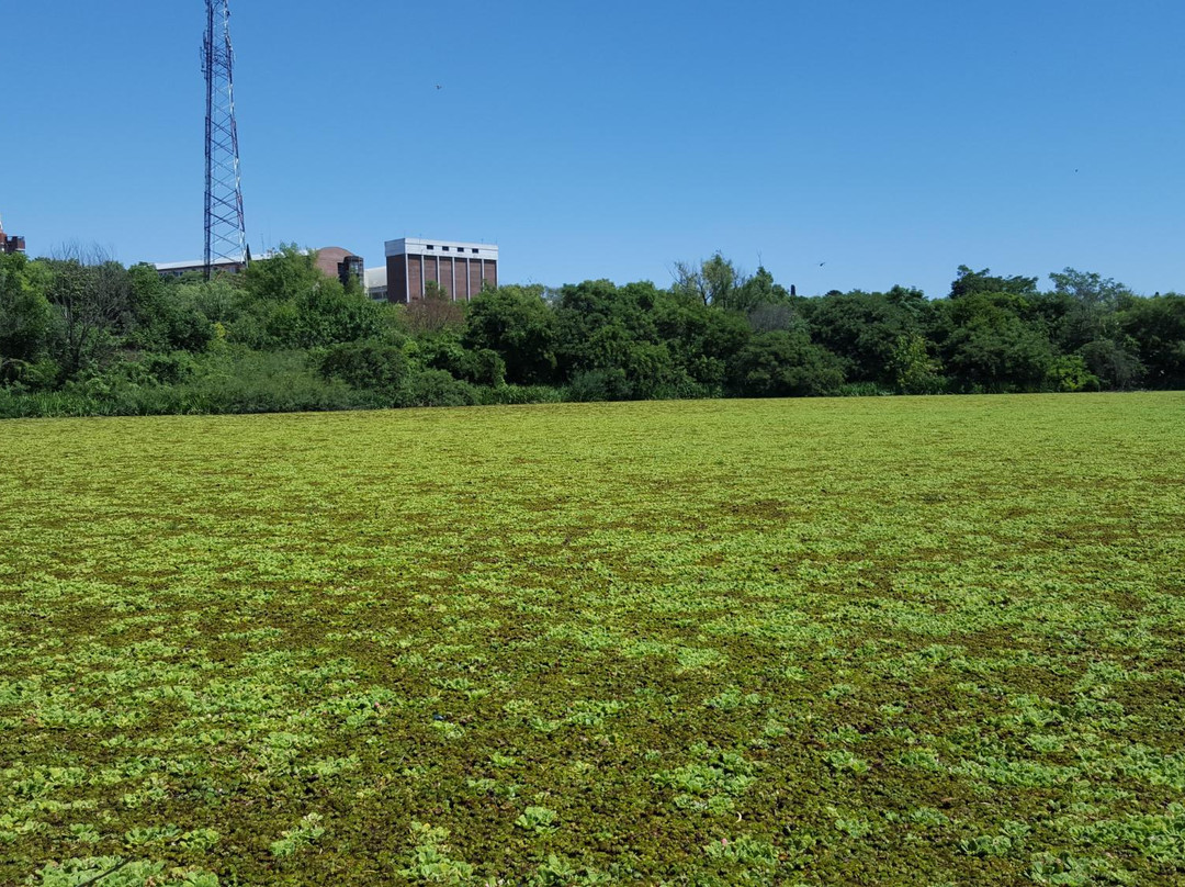 Reserva Ecológica Vicente Lopez景点图片