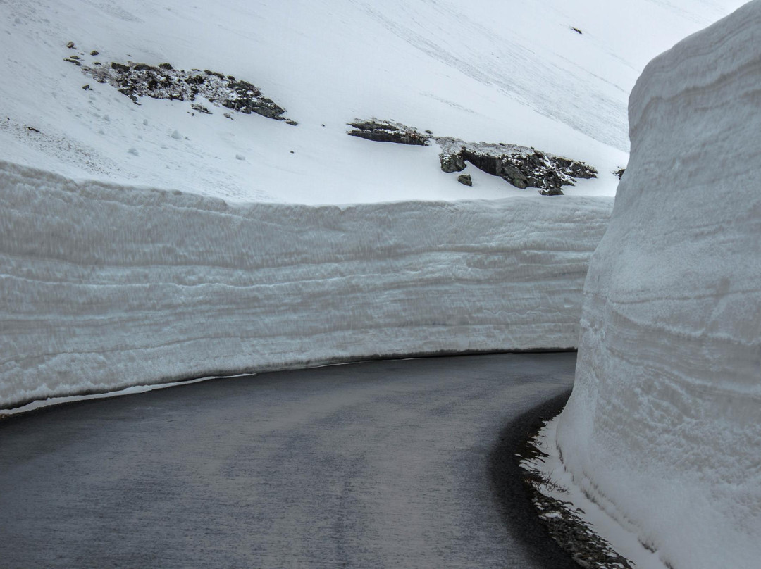 Stryn Sommerski景点图片