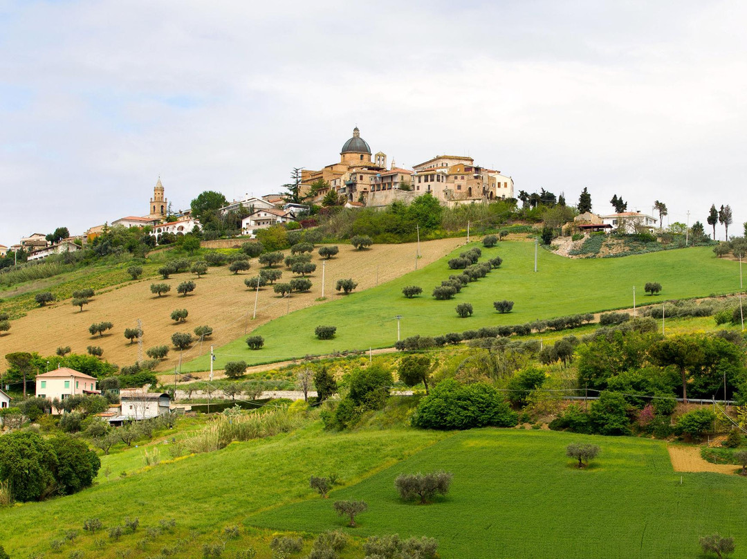 Borgo di  Montepagano景点图片