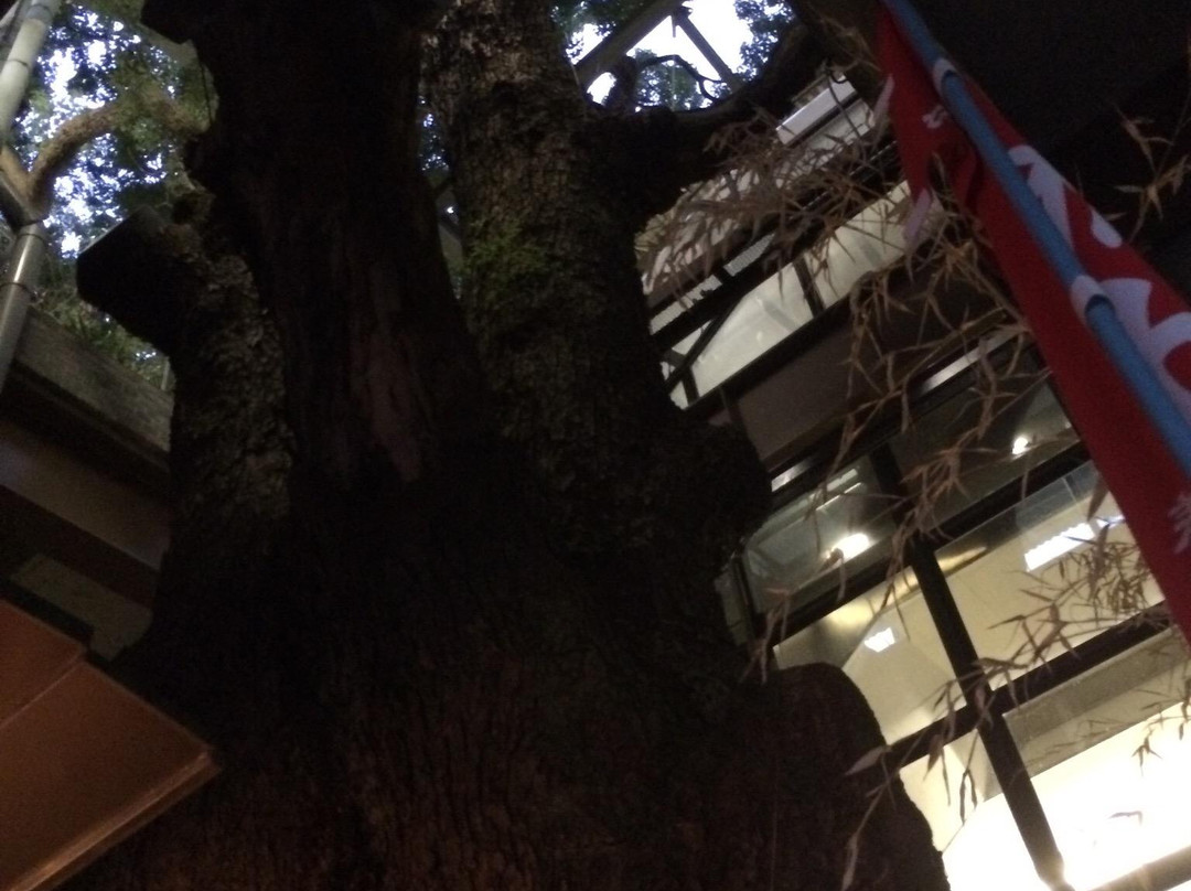 Kayashima Shrine-寝屋川市必去景点