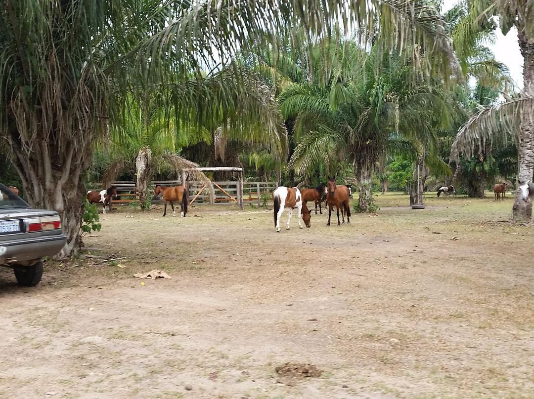 El Chocolatal Golf Eco Resort-Rurrenabaque必去景点