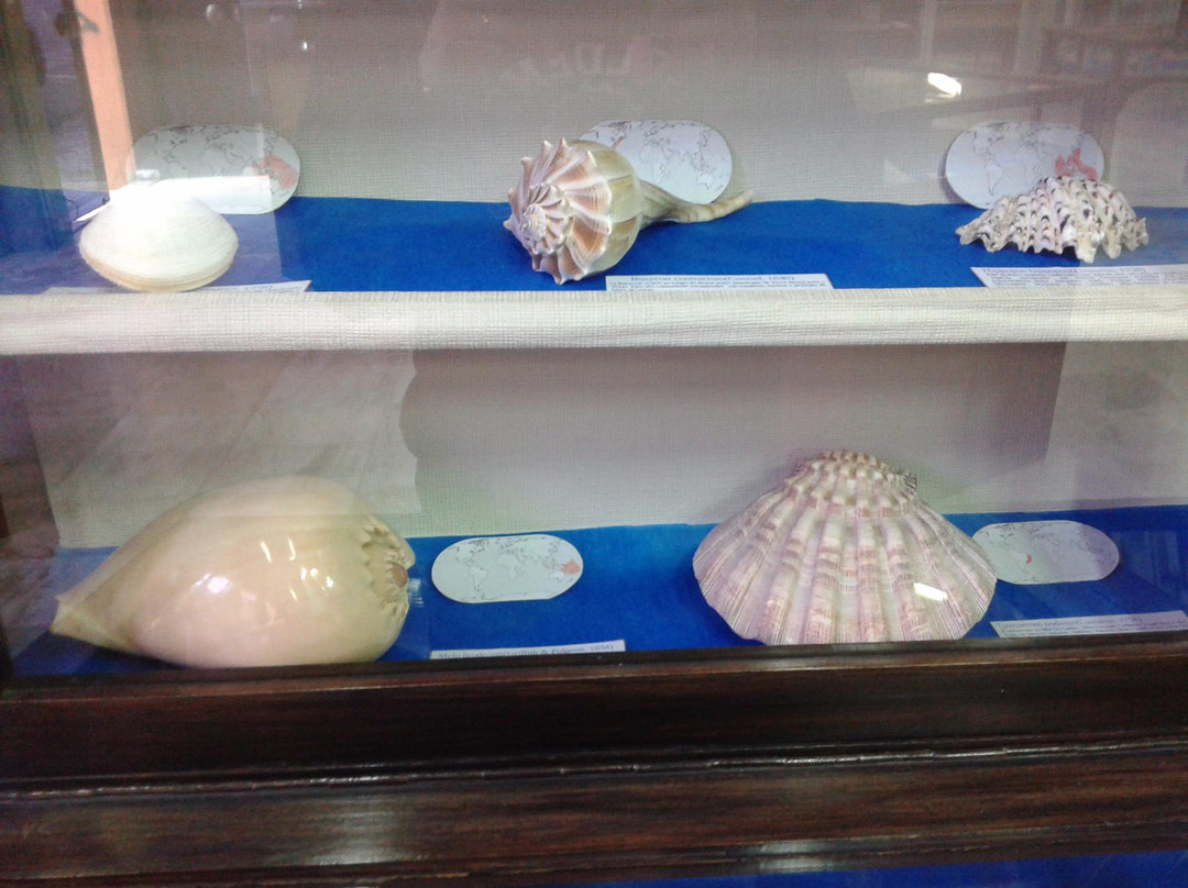 Campos Gerais Museum-Ponta Grossa必去景点