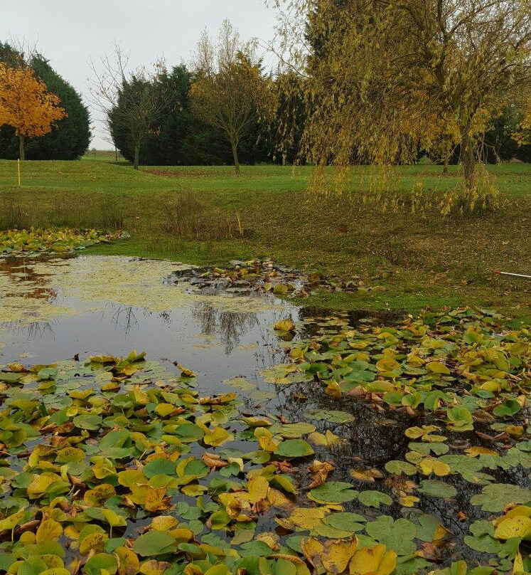 South Kyme Golf Club-South Kyme必去景点