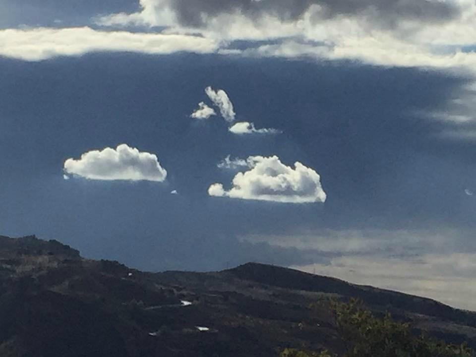 Cortijo La Argumosa主图