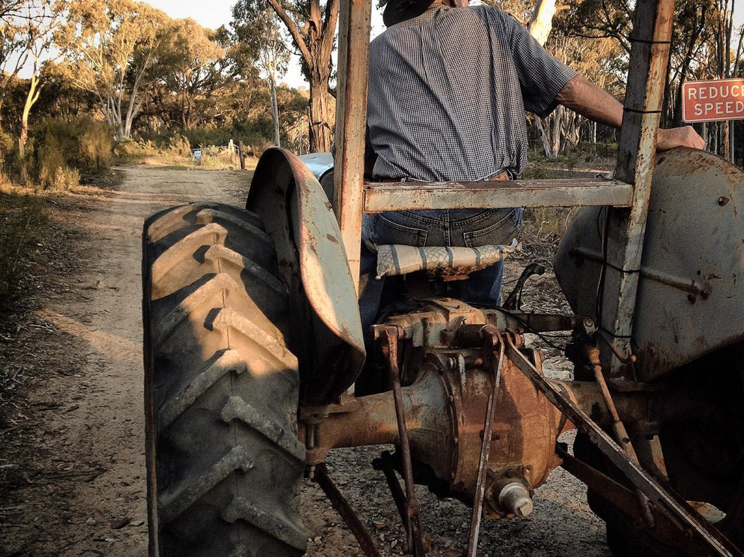 Yarrabin Holiday Ranch