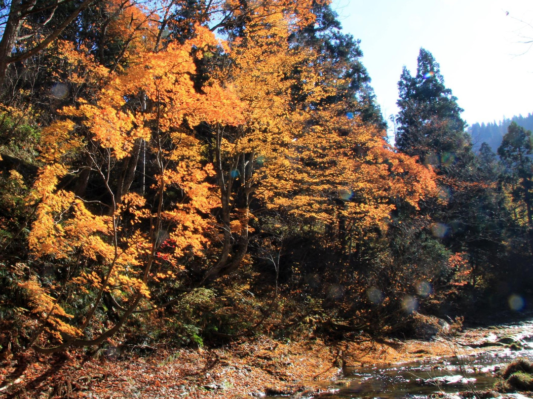 Senshinkyo Valley-尾花泽市必去景点