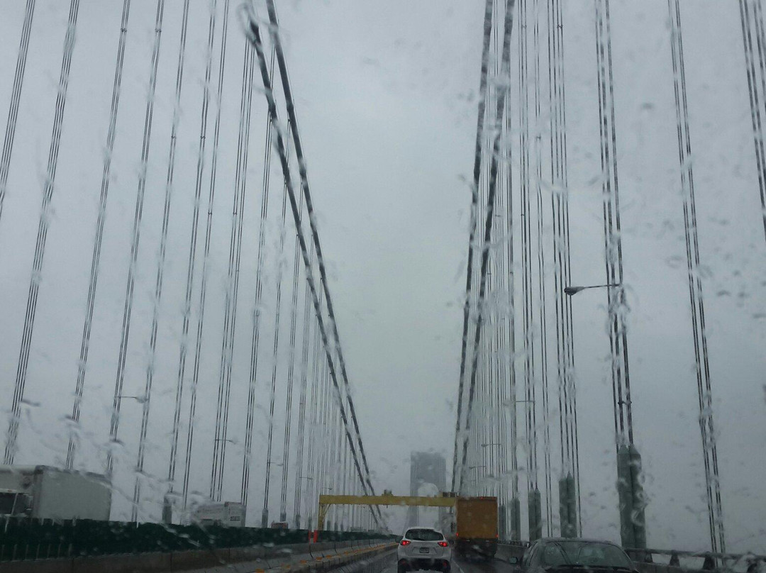 Verrazano Narrows Bridge-布鲁克林必去景点