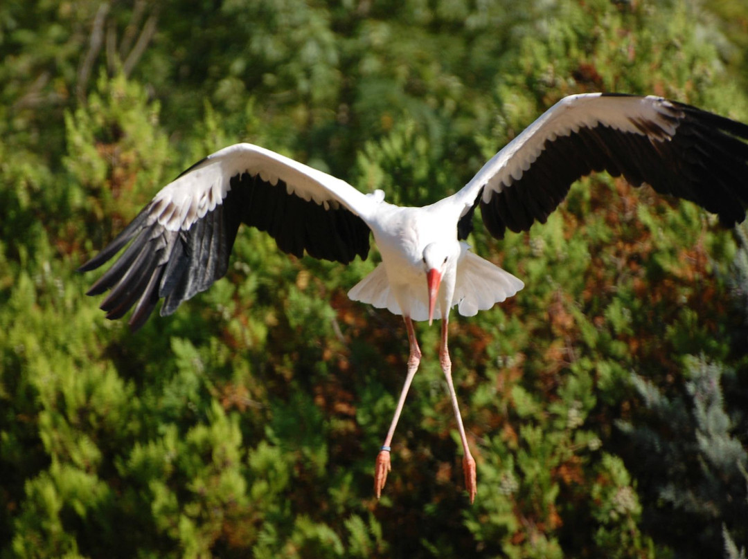 Zoo d'Upie Le Jardin Aux Oiseaux景点图片