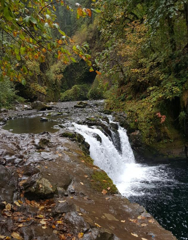 Lower Punchbowl Falls-Cascade Locks必去景点
