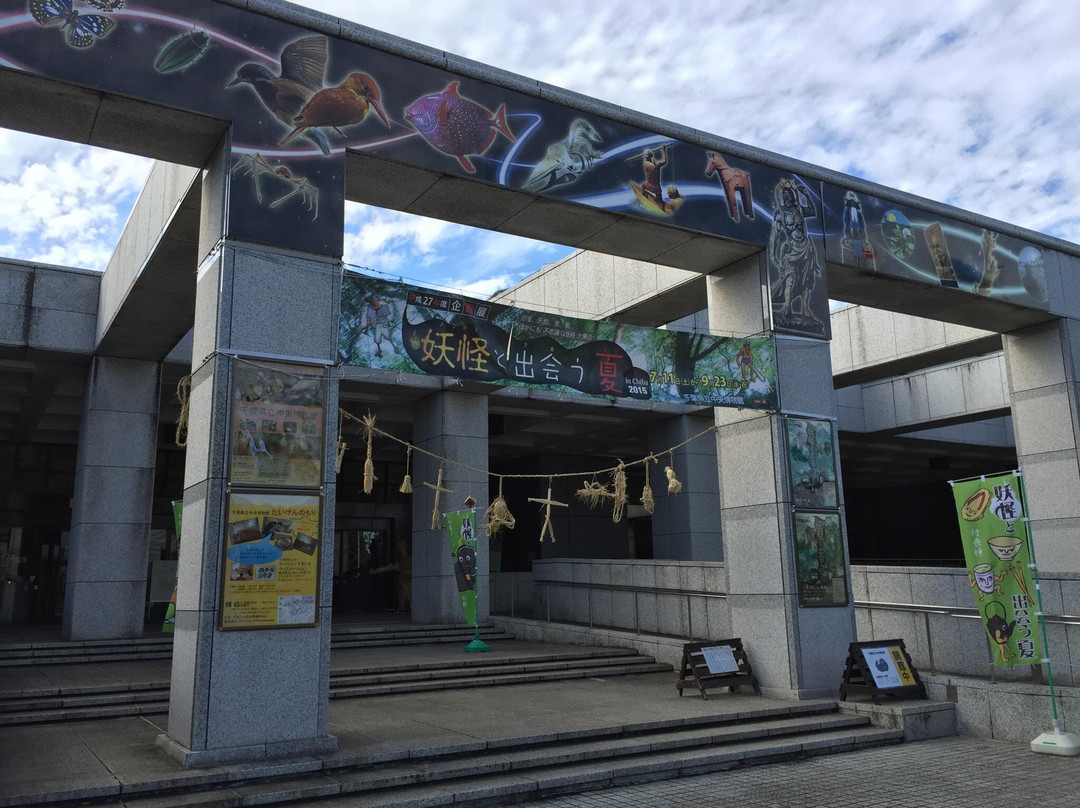 Natural History Museum and Institute