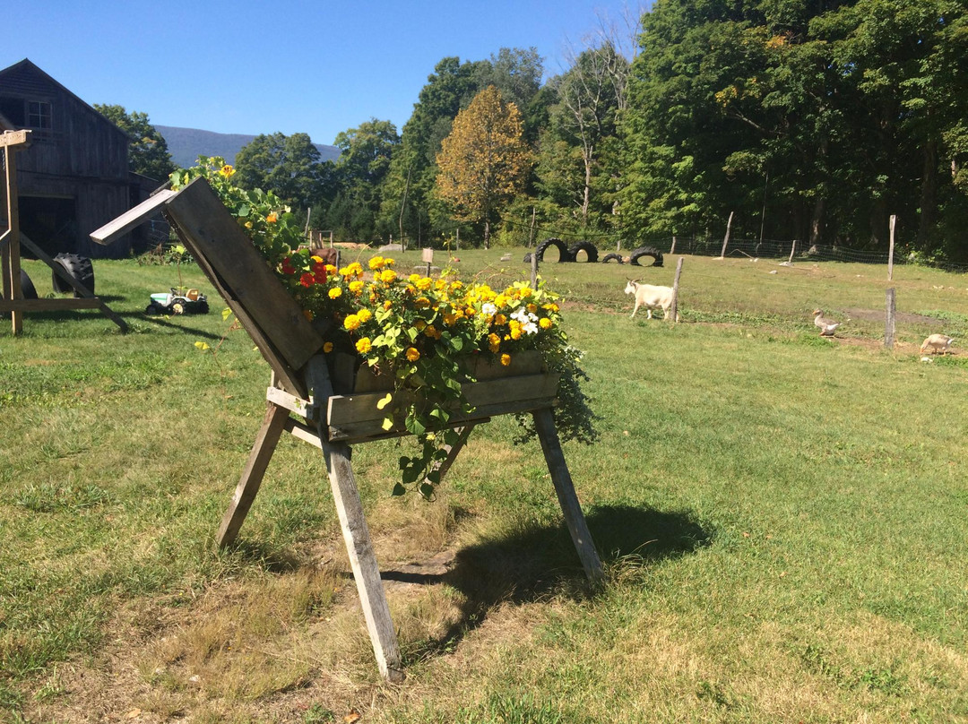 Dutton Farm Stand-曼彻斯特必去景点
