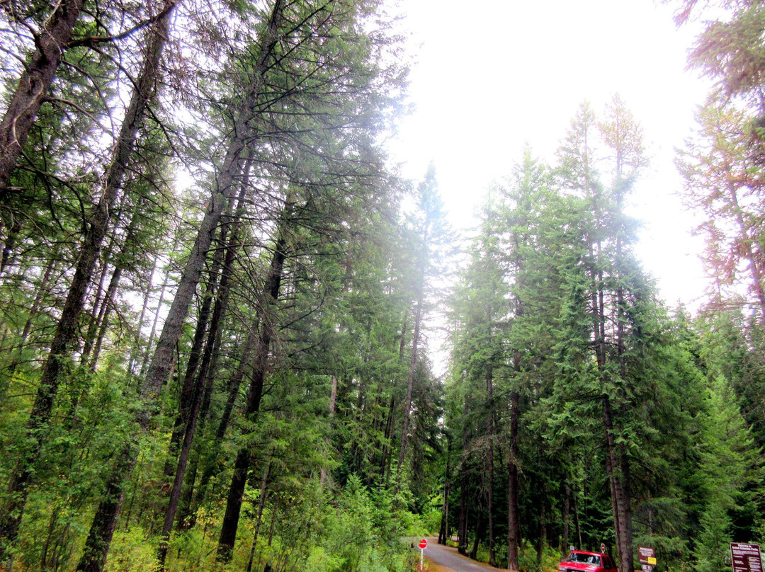 Yahk Provincial Park-Yahk必去景点