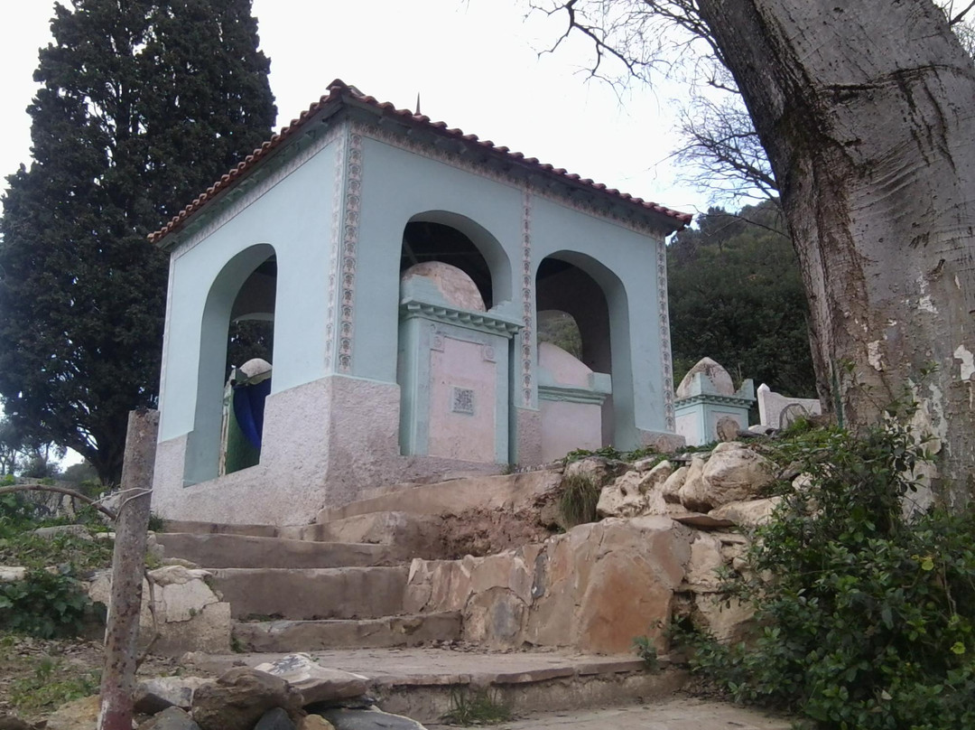 Mausolée de Sidi Elkebir景点图片