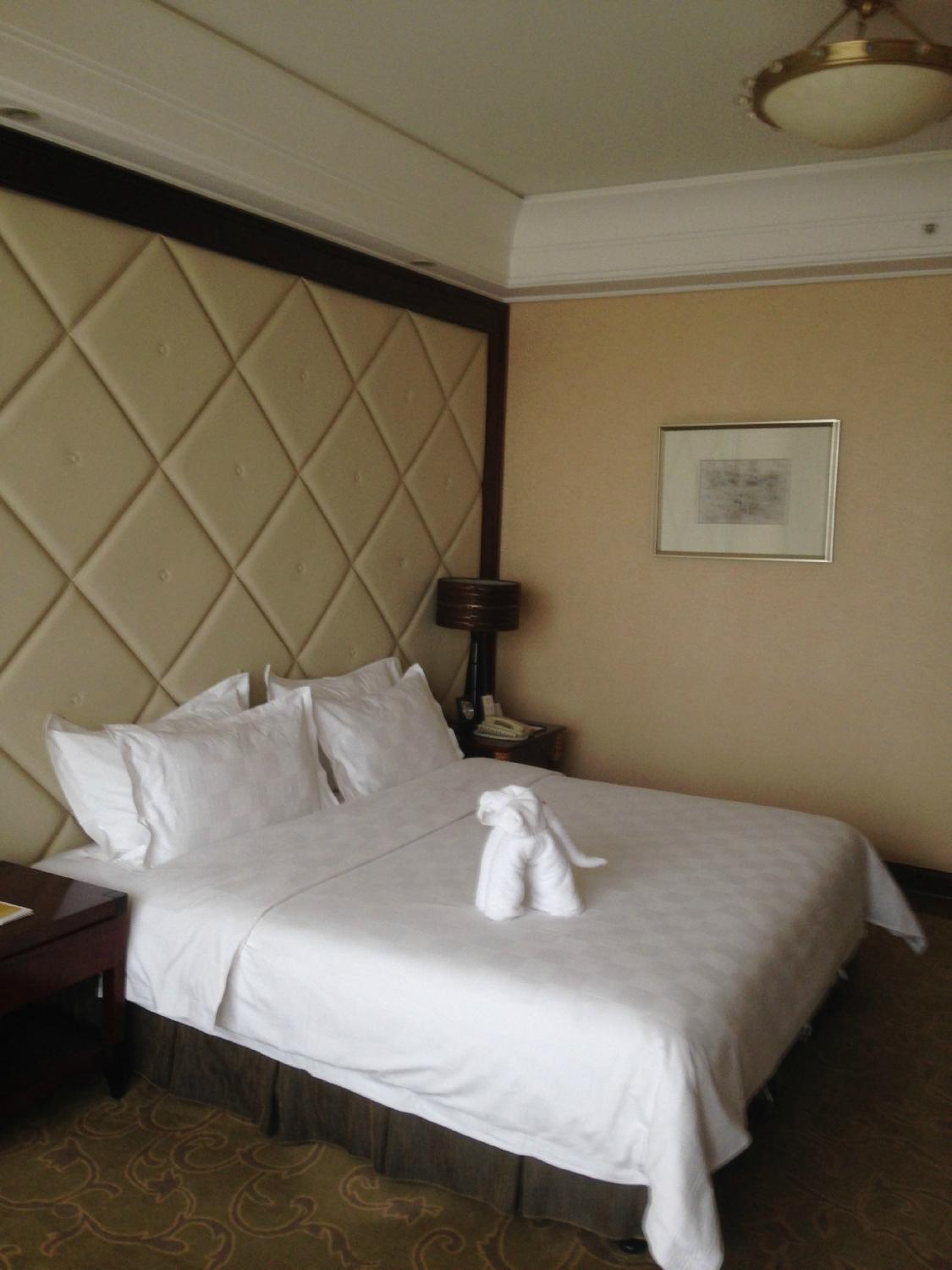 锦江国际大酒店-客卧