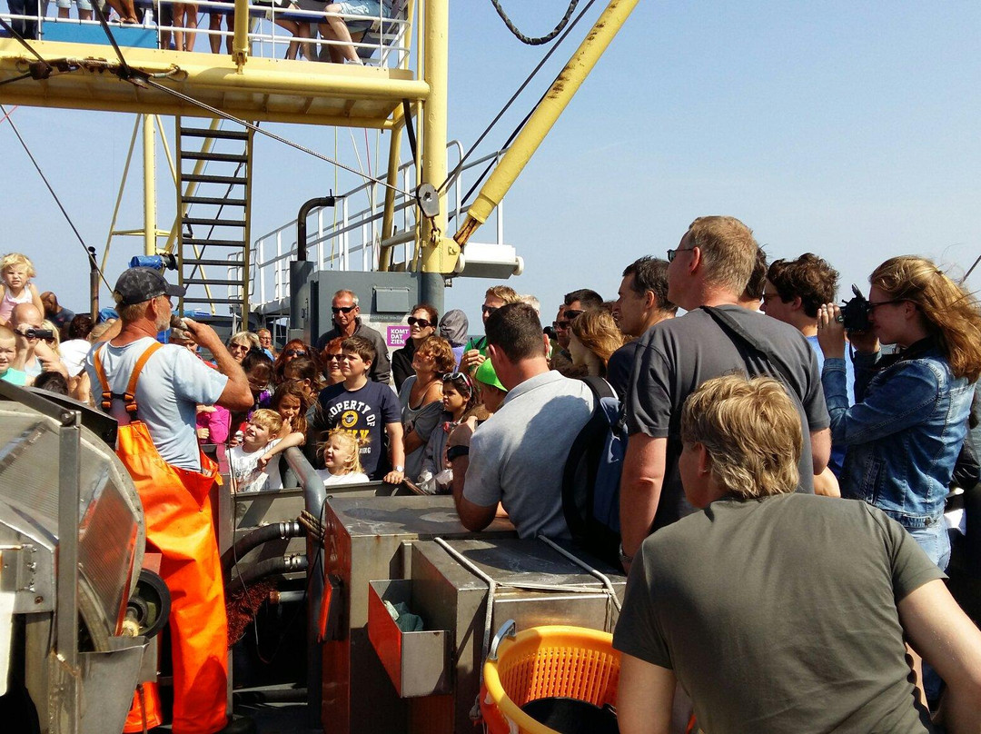 TX35 De Zeester - Boat Tour-Oudeschild必去景点