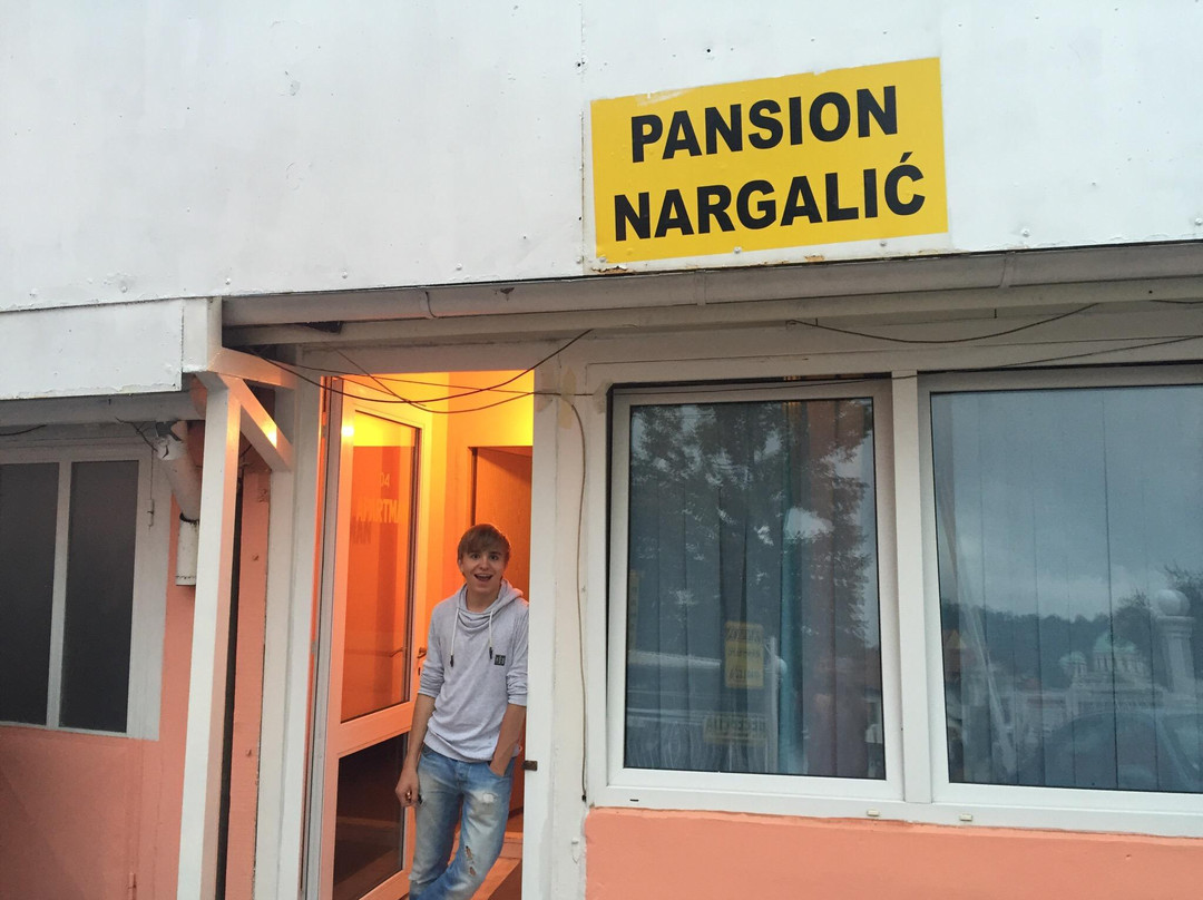 Pansion Nargalic
