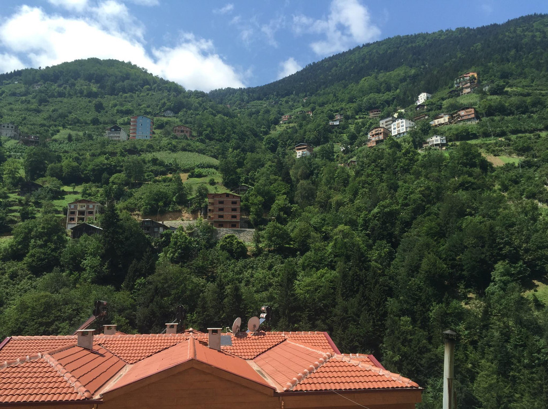 Uzungol Taskiran Ela Hotel主图