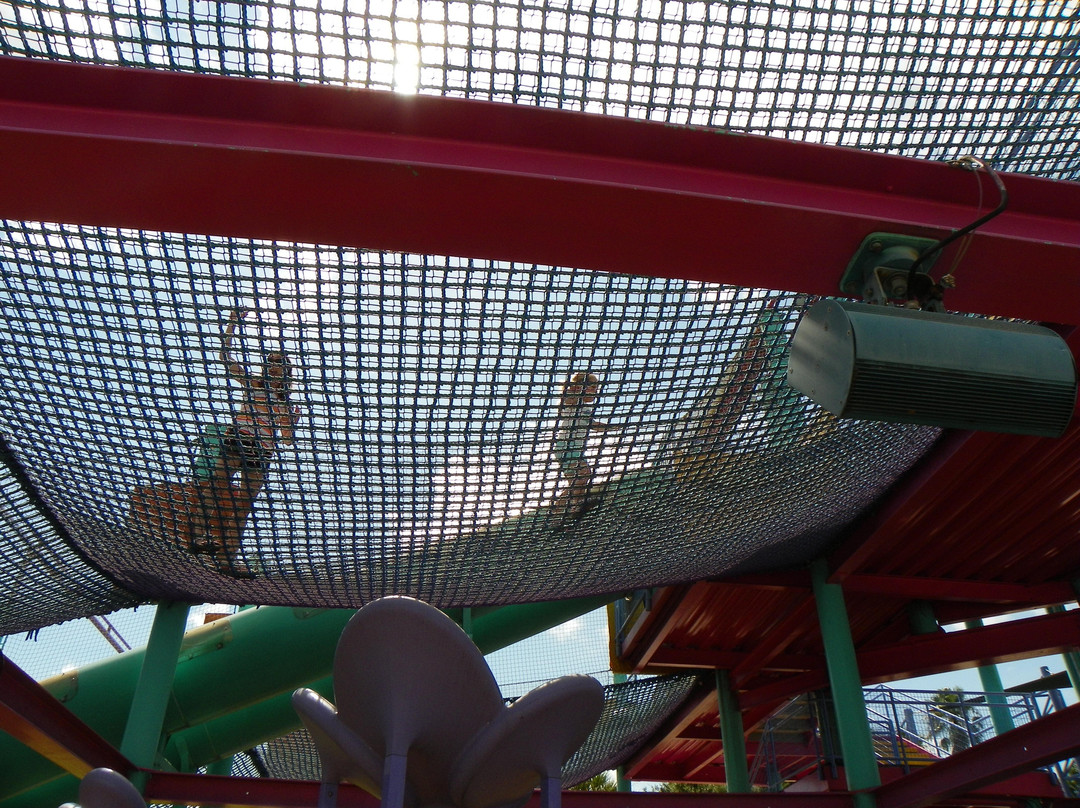 圣安东尼奥海洋世界-圣安东尼奥市必去景点