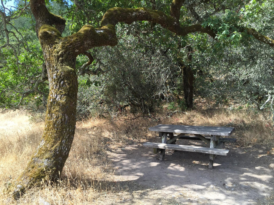 Annadel State Park景点图片