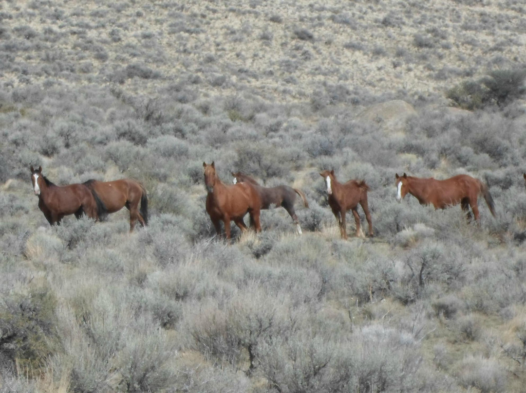 Dedication Point-Melba必去景点
