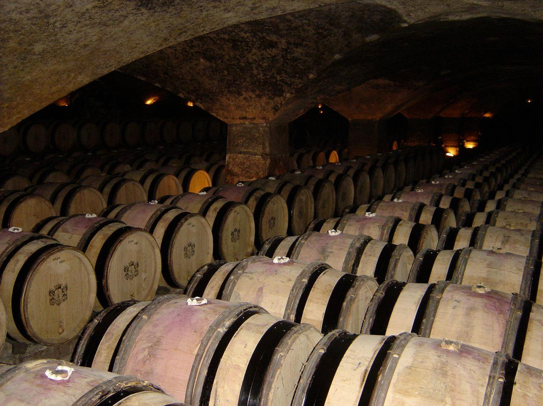Chateau de Meursault-默尔索必去景点